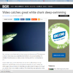 VIDEO: A Great White Shark Sleeping!