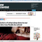 Reasons Why We Actually Sleep