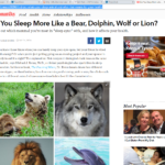 Which Mammal Do You Sleep the Most Like? Find Out Here