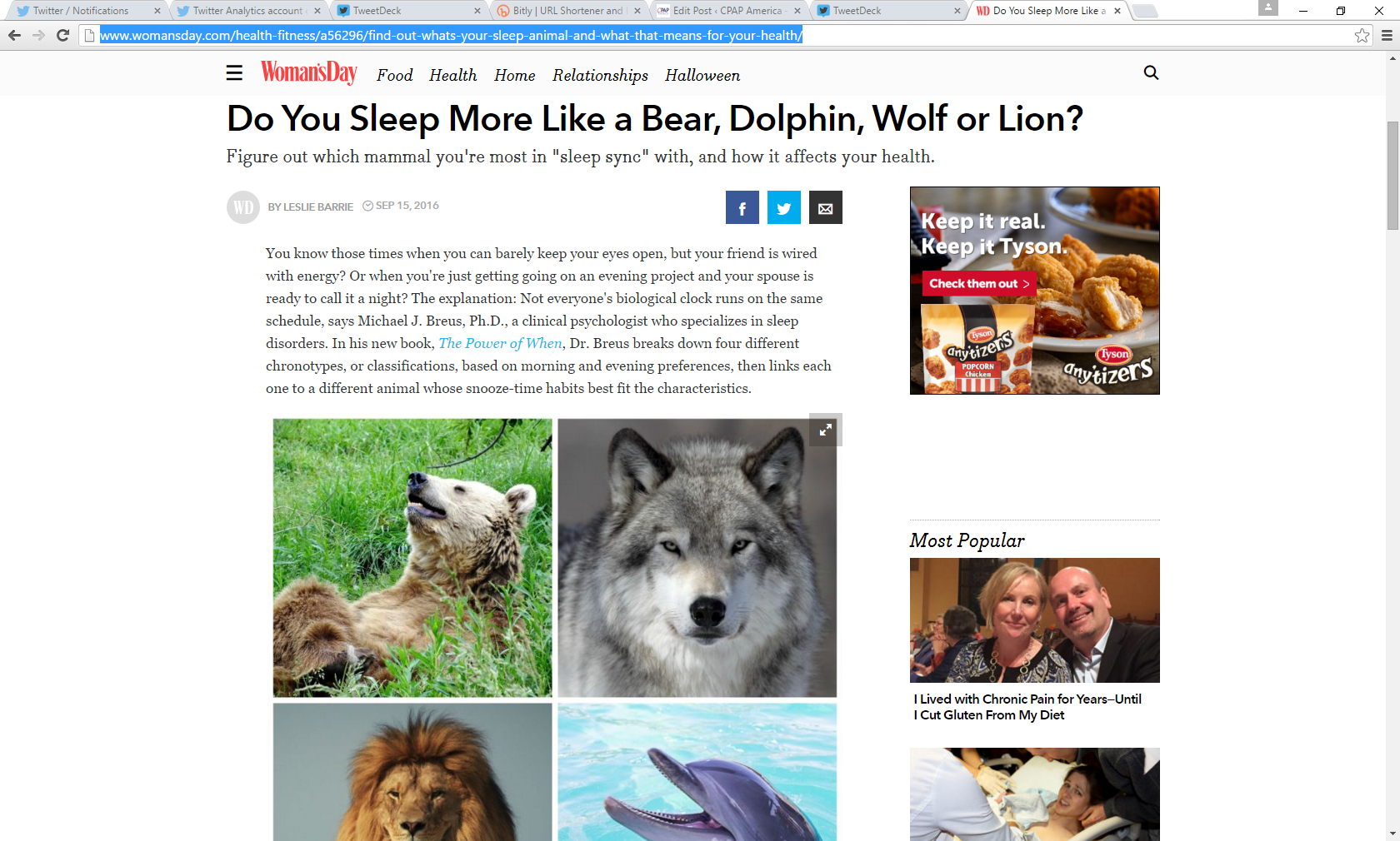 Which Mammal Do You Sleep the Most Like? Find Out Here